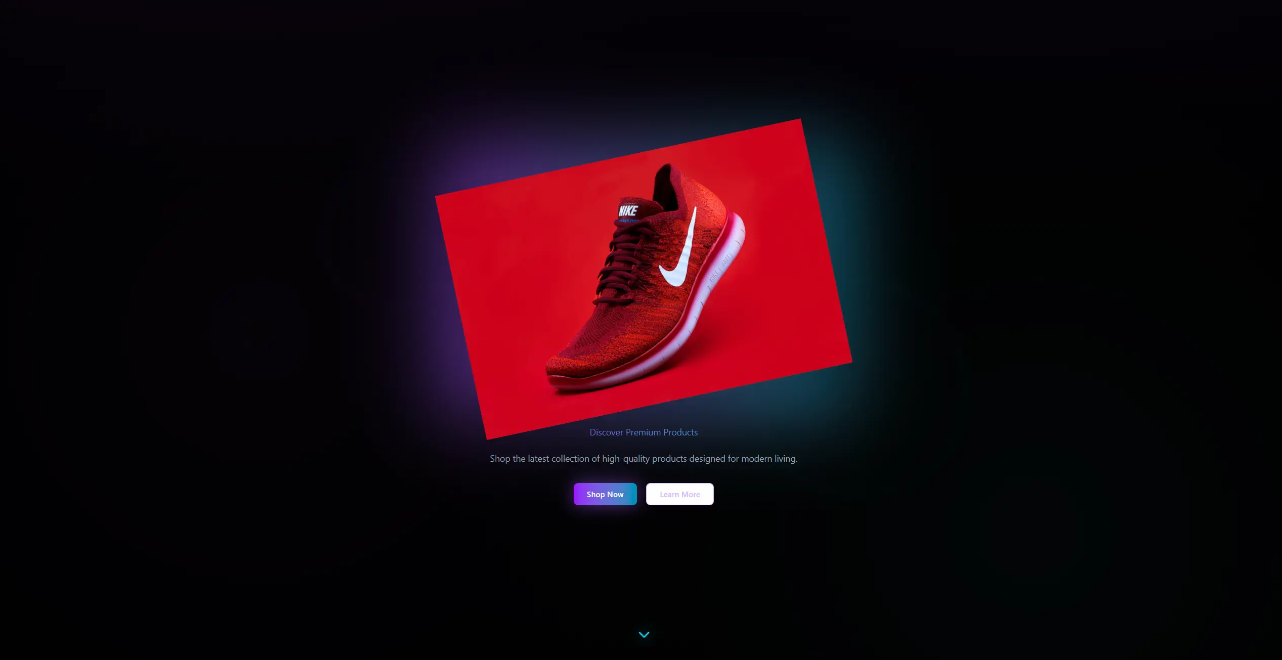 Nike 2 Project